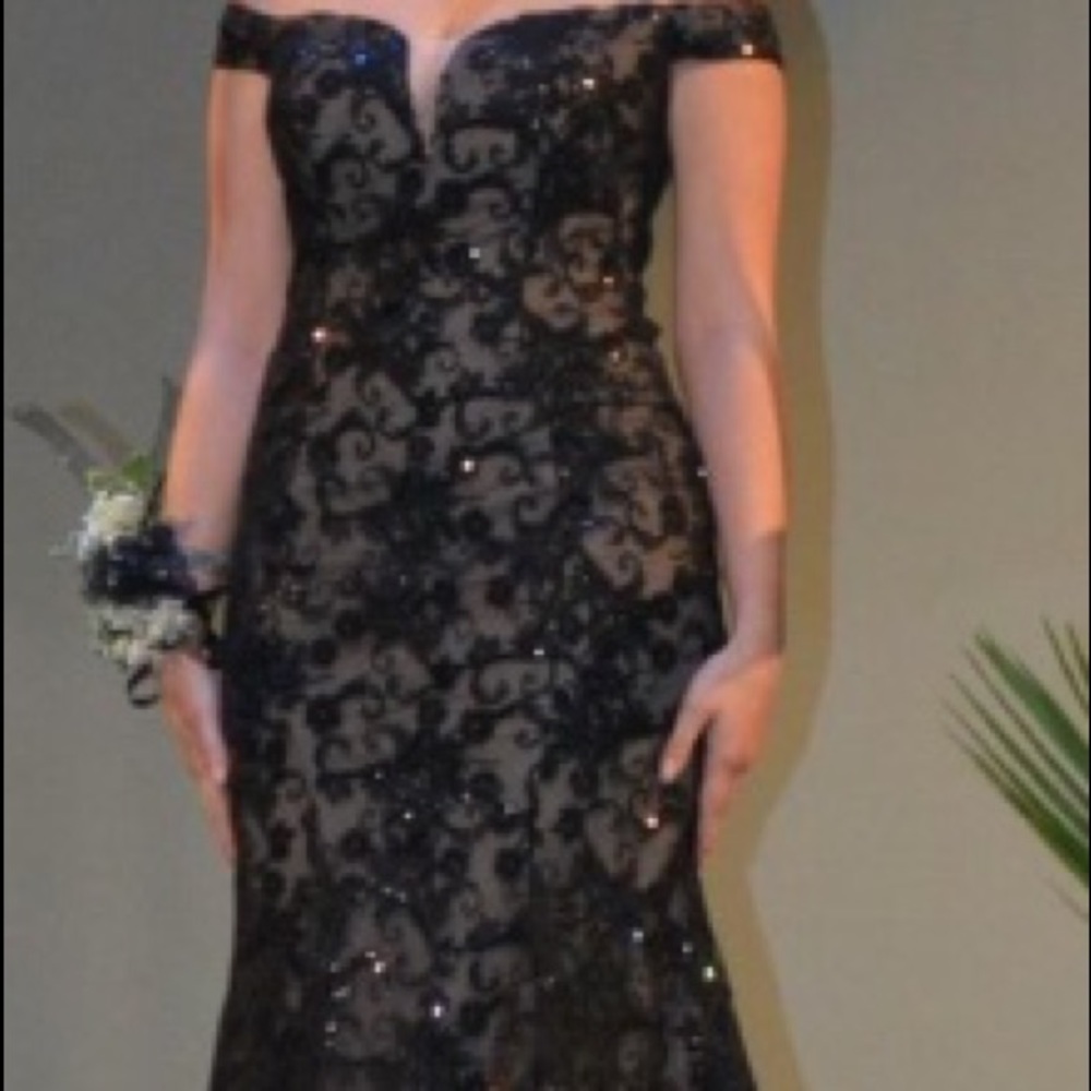 Beautiful slim to flare fit, Lace Gown